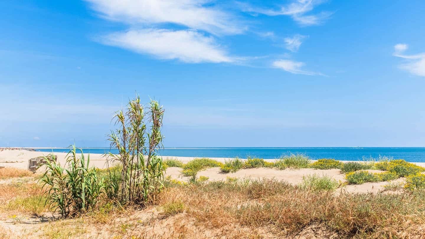 costa de luz