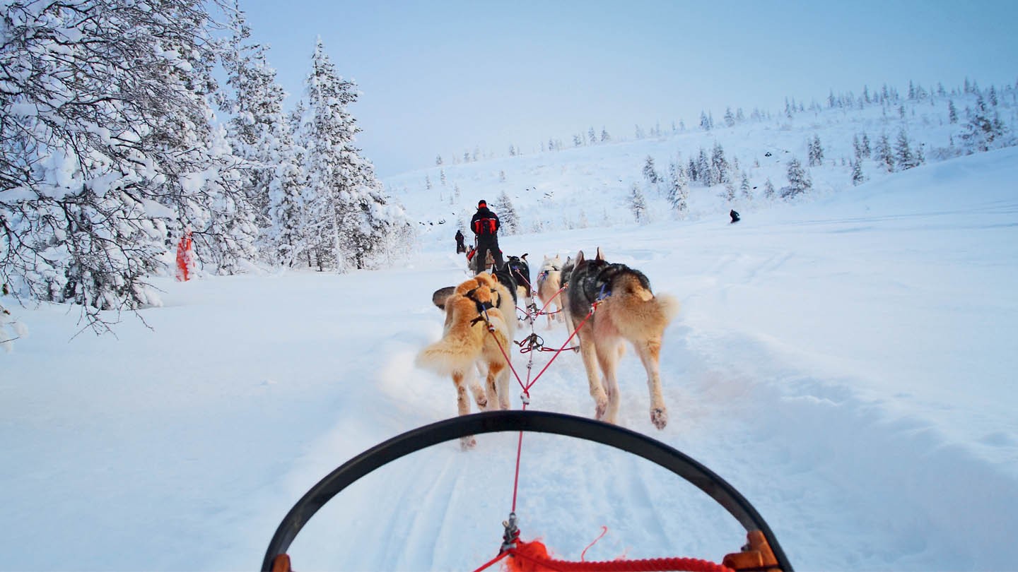 Husky ride  iStock-157194483 jours 2-4 et 5