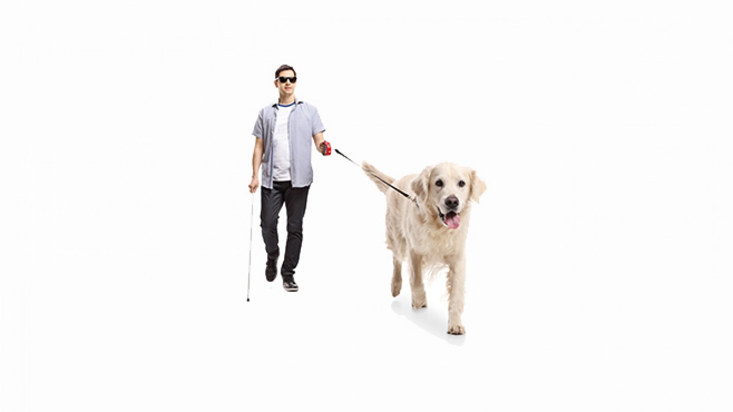seeing impaired