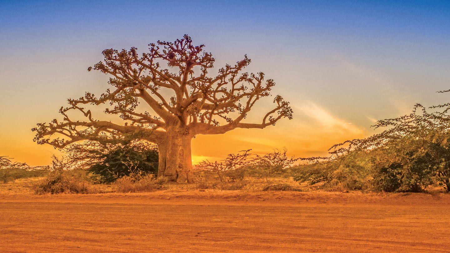 Sénégal