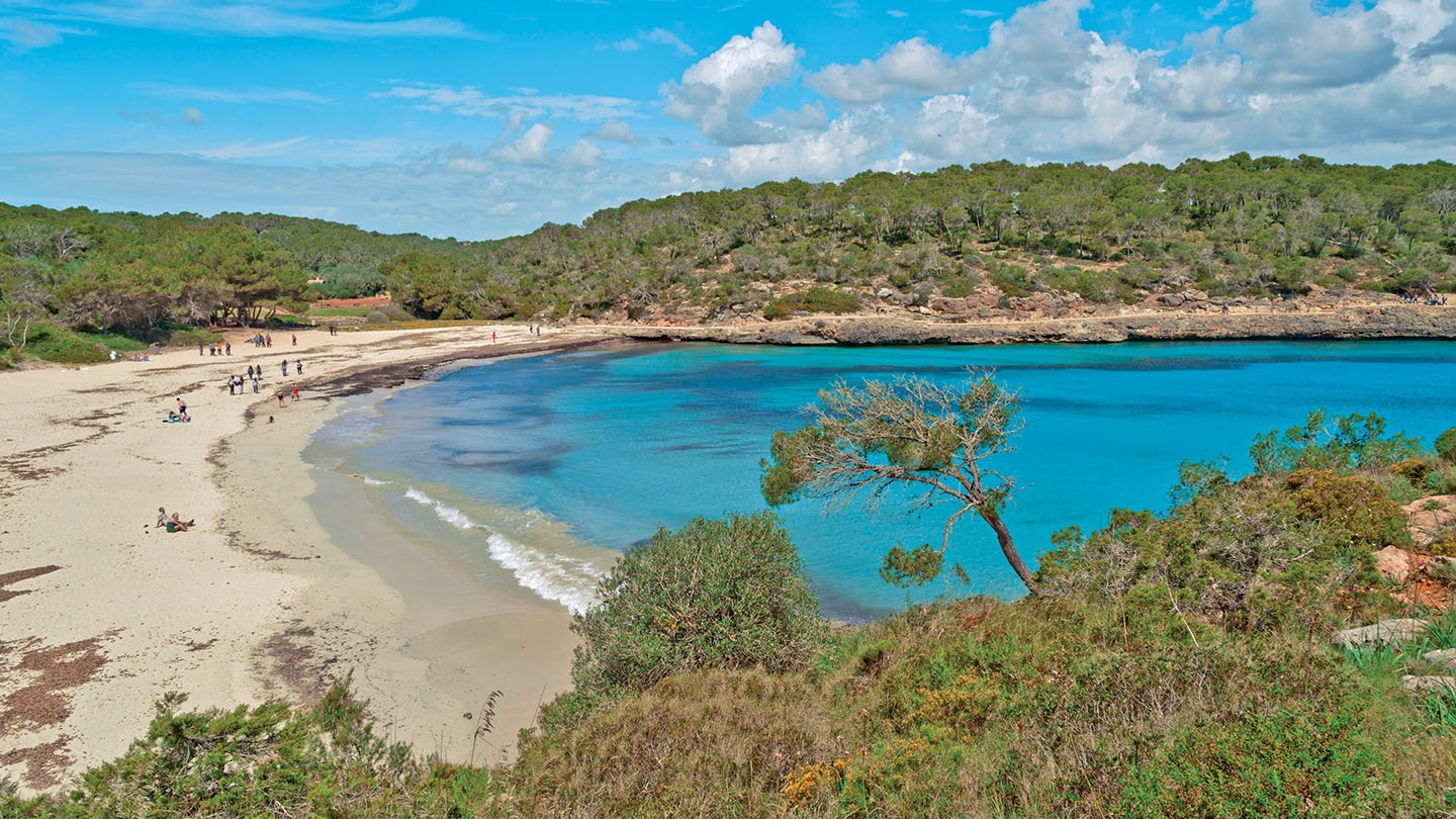 Cala Mandrago